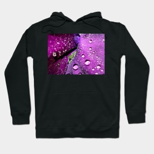 Purple Rain Hoodie